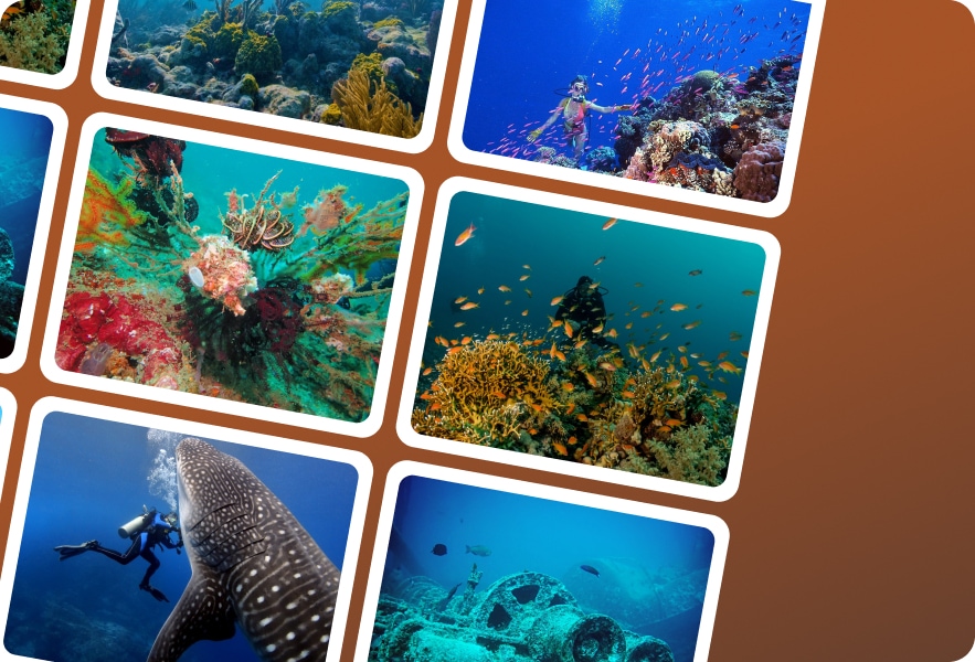 100 Top Dive Sites